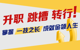 升职 跳槽 转行!掌握 一技之长 成就金领人生